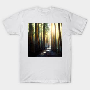 Tall trees lining a forest path as the sun shines through. T-Shirt